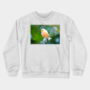 Canary Crewneck Sweatshirt